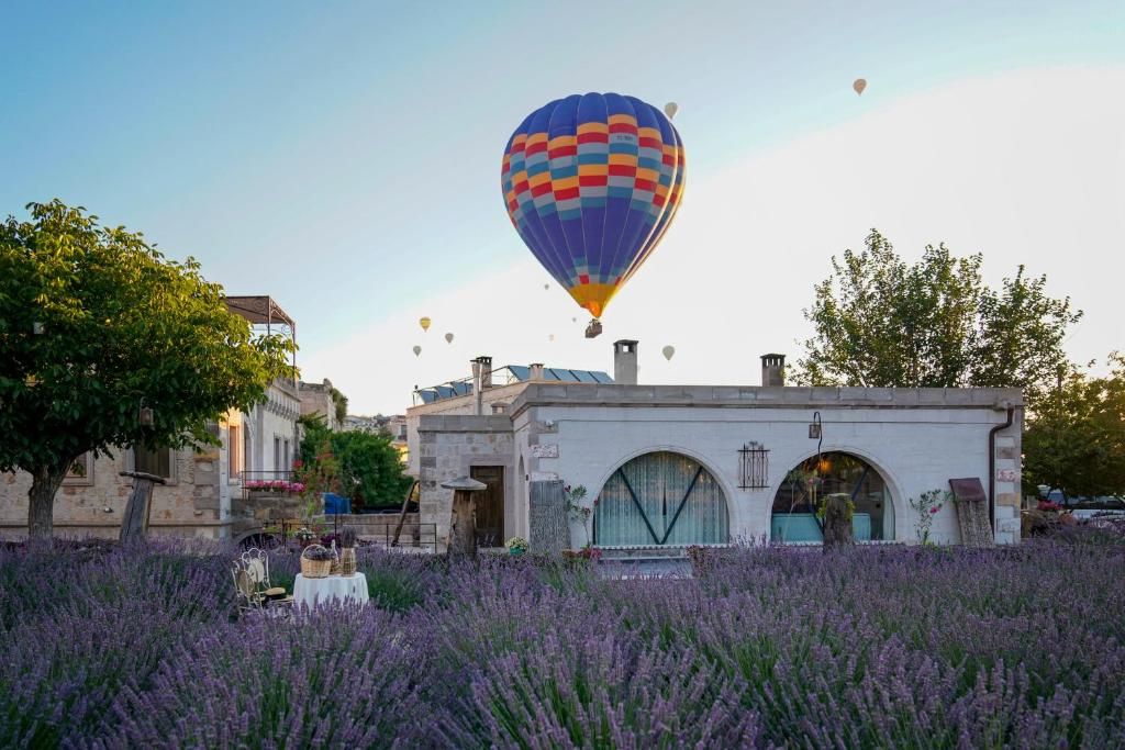 Design Cappadocia фото 25