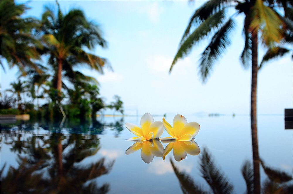 The St. Regis Sanya Yalong Bay Resort фото 82