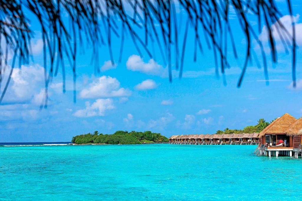 Sheraton Maldives Full Moon Resort & Spa фото 48