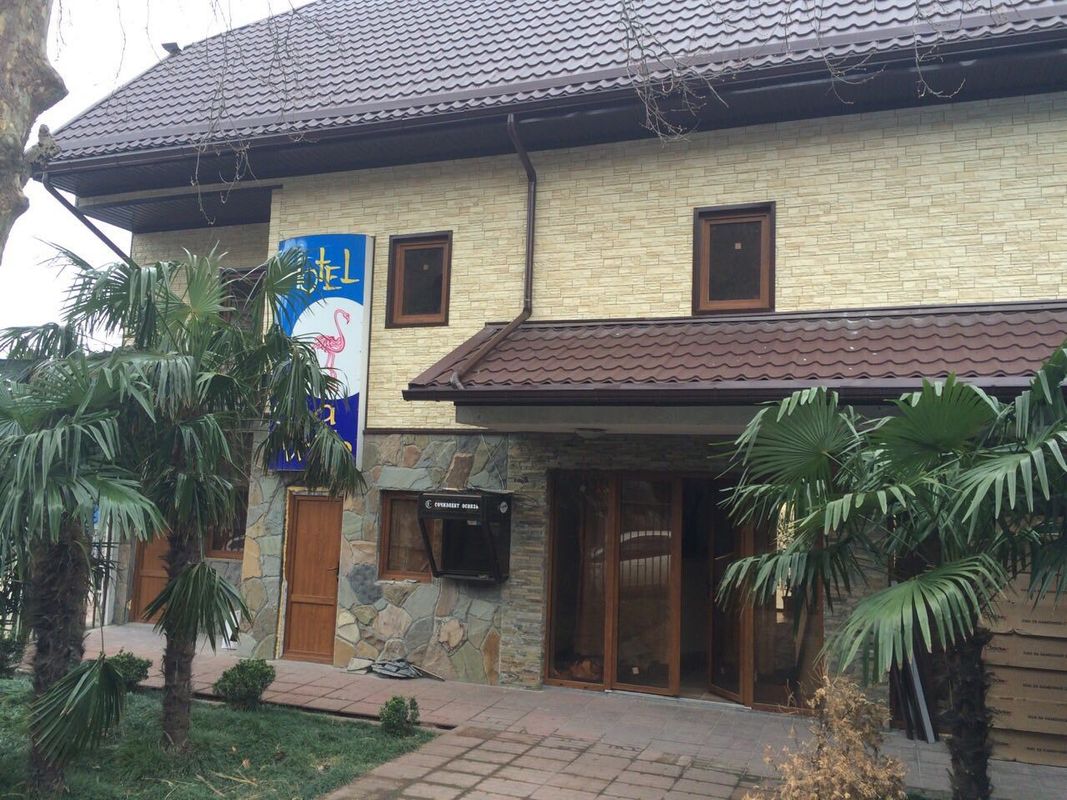 Фламинго фото 5