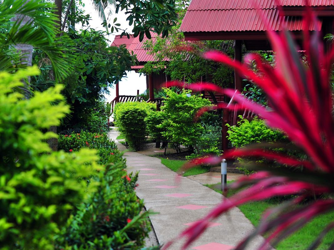 Morning Star Resort фото 16