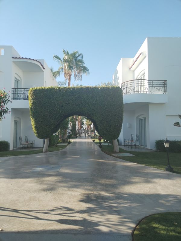 Jaz Fanara Resort & Residence фото 61