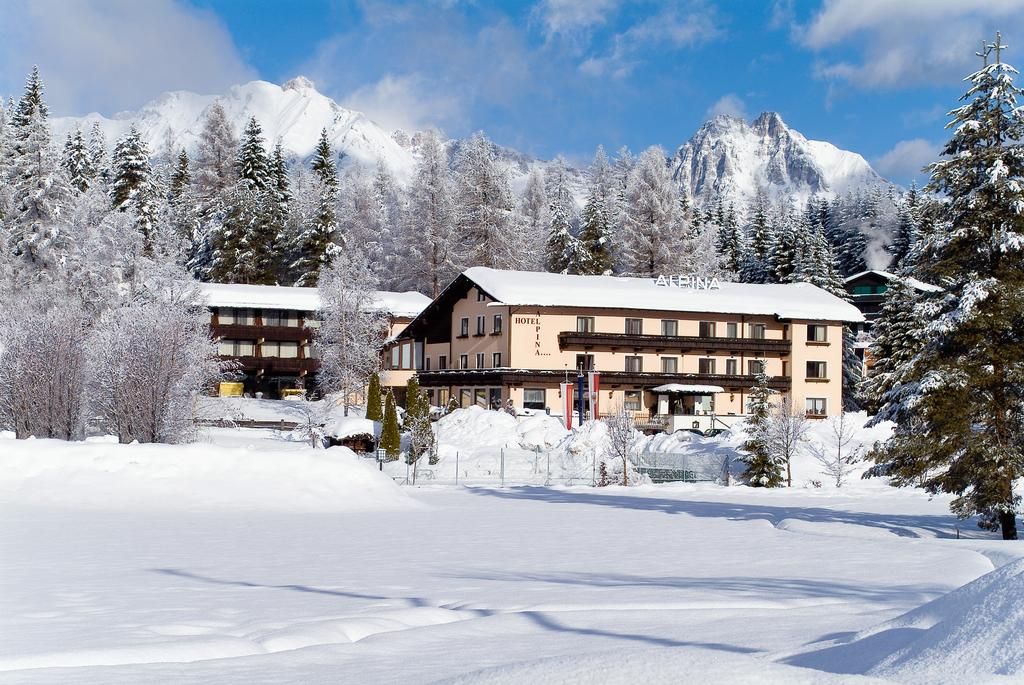 Hotel Alpina фото 0