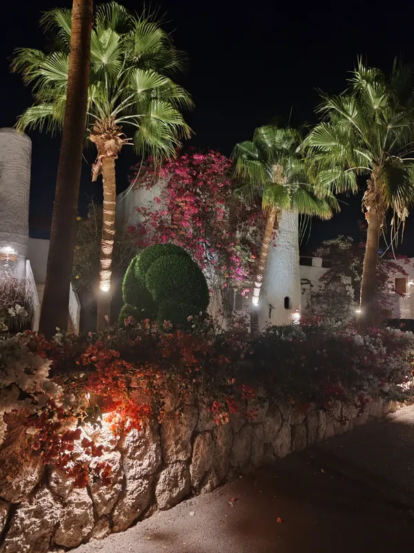 Sharm Club Beach Resort фото 85