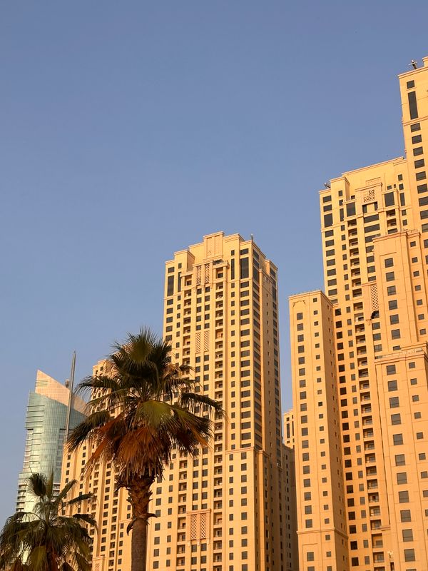 Roda Amwaj Suites фото 29