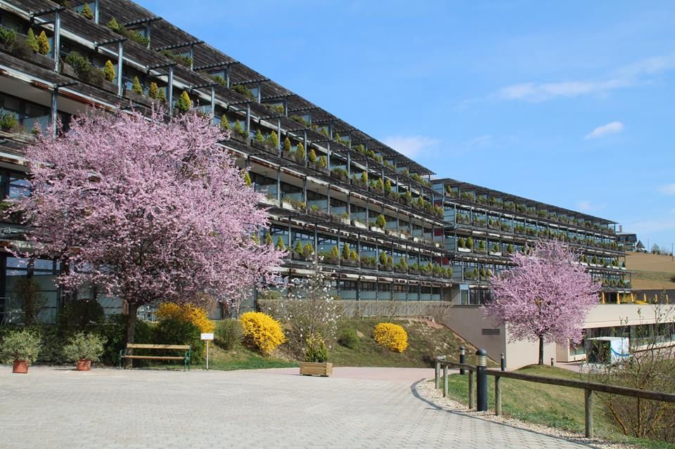 Loipersdorf Spa & Conference фото 23