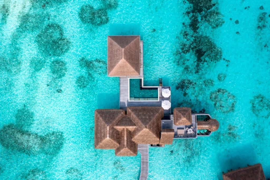 Gili Lankanfushi Maldives фото 41