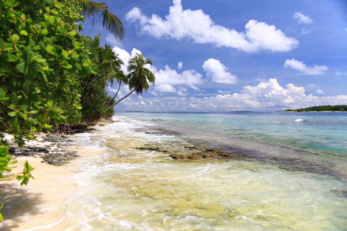 Dhonfulhafi Beach View & Spa фото 16