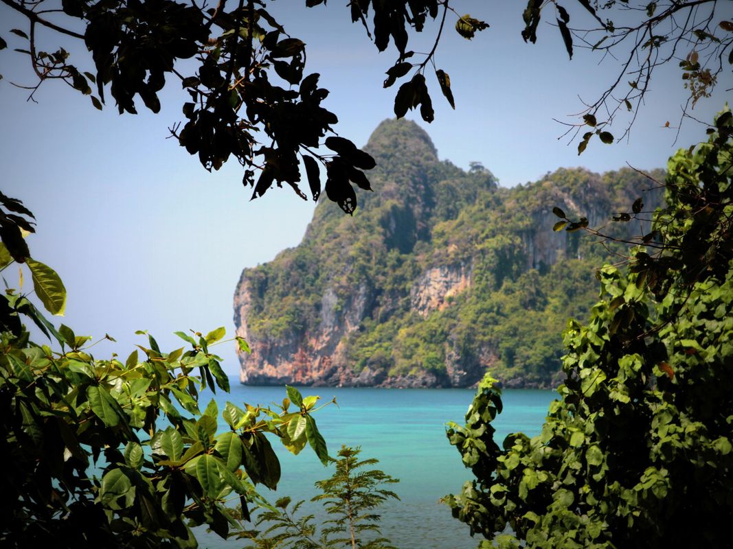 Phi Phi Cozy SeaFront Resort фото 18
