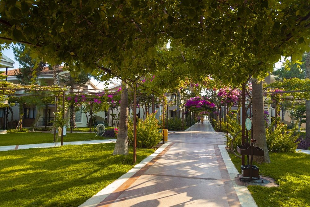 Club Hotel Turan Prince World фото 293