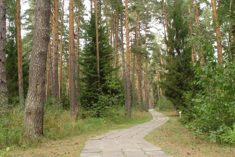 Санаторий «Озеро Белое» фото 70
