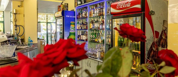 Фото отеля Hotel Slavyanski