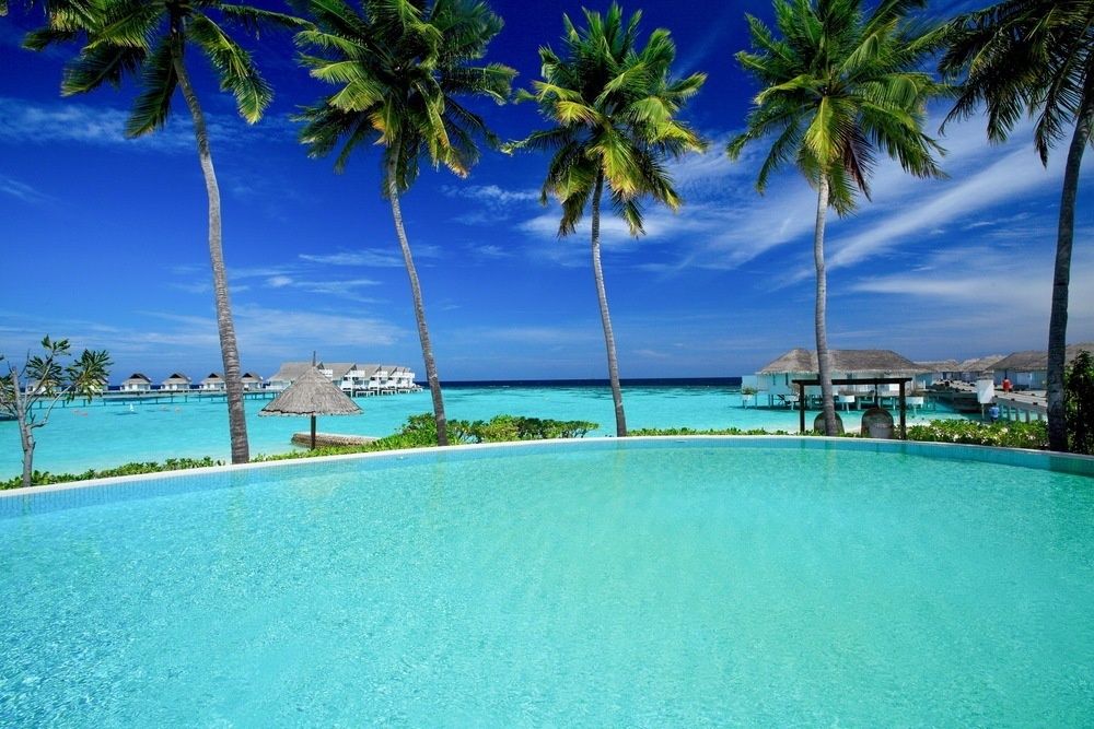 Machchafushi Island Resort & Spa Maldives, The Centara Collection фото 59