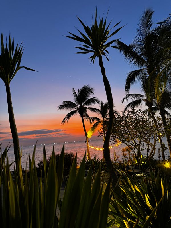 Sea Sand Sun Resort and Villas фото 41