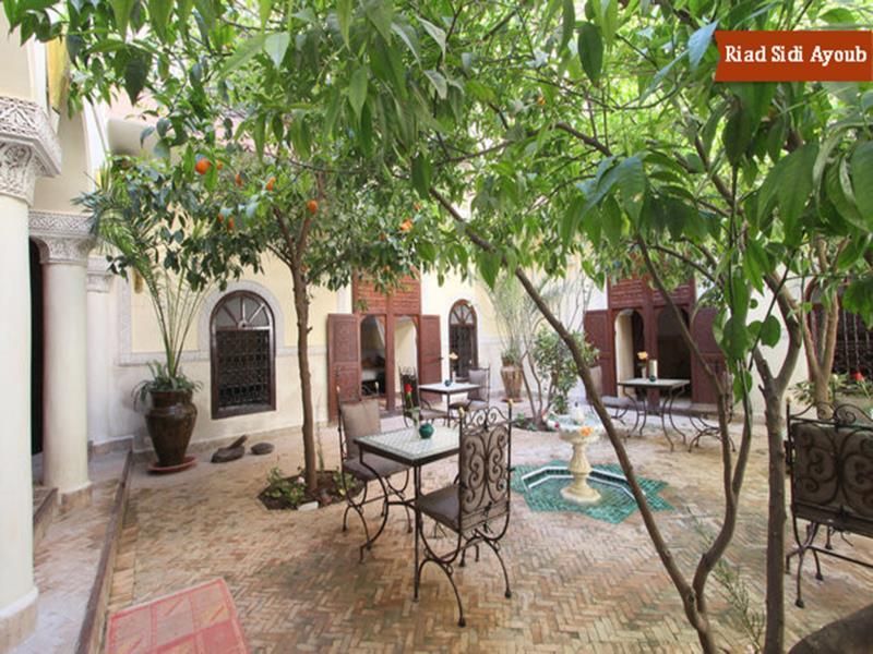 Riad Sidi Ayoub фото 14