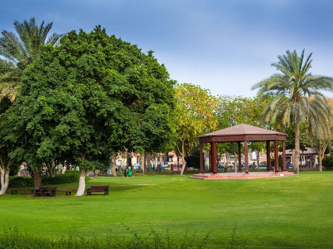 Danat Al Ain Resort фото 9