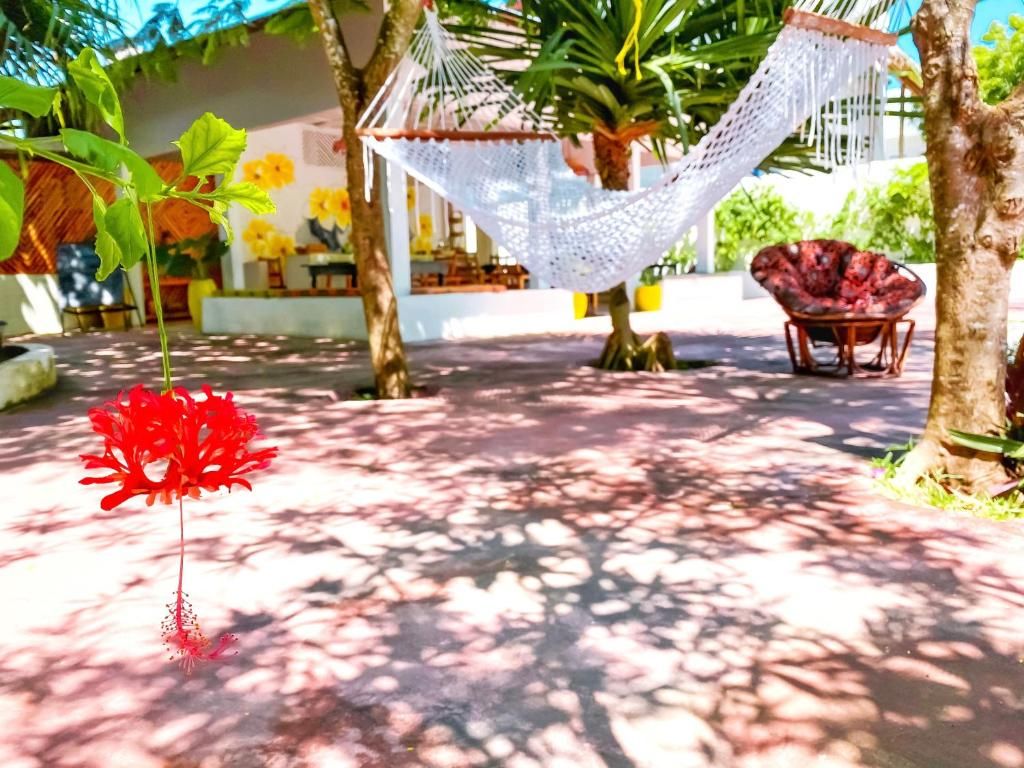 Guest House «Papaya Guest House Nungwi» фото 29