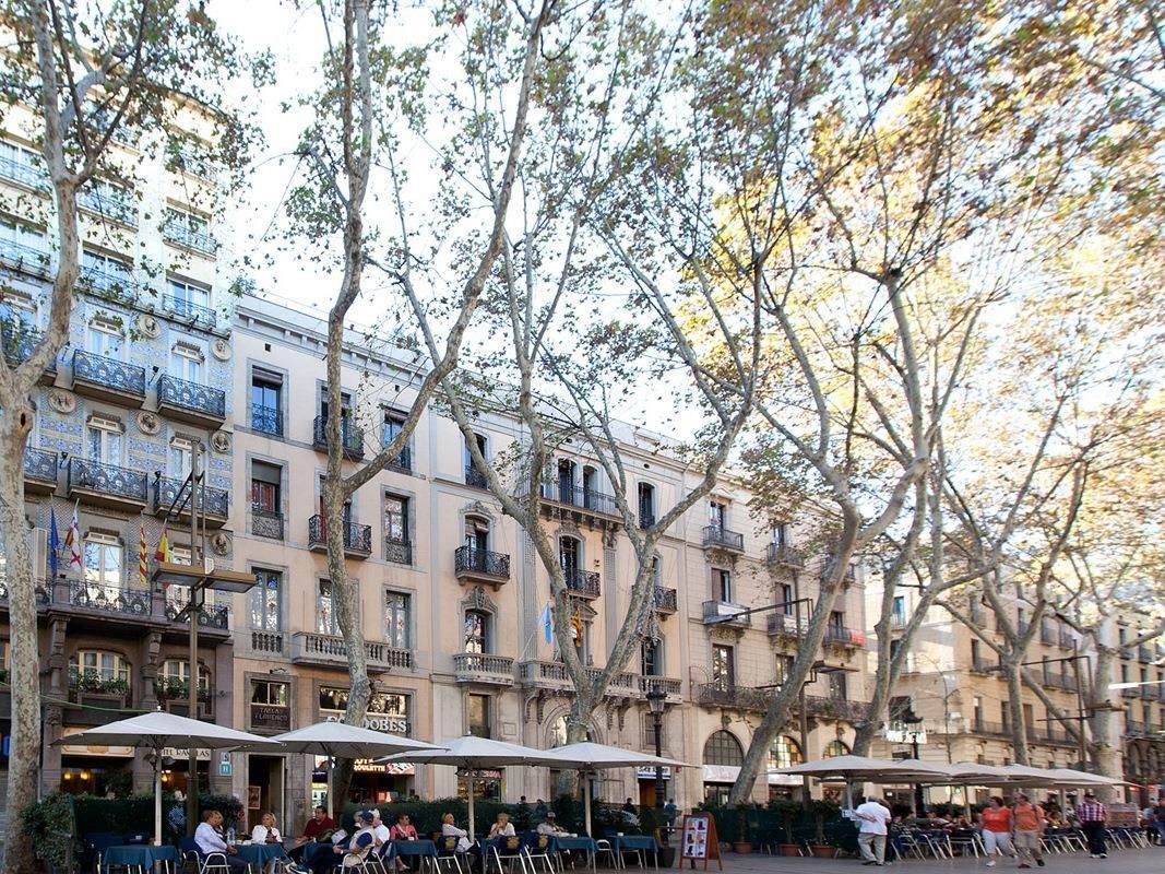 Ramblas фото 24