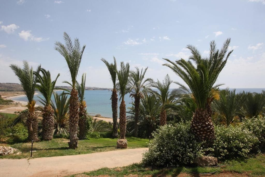 Ascos Coral Beach Hotel фото 42
