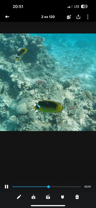 Coral Beach Hurghada фото 66