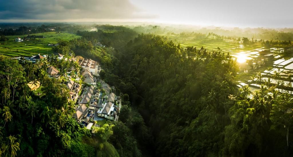 The Viceroy Bali фото 87