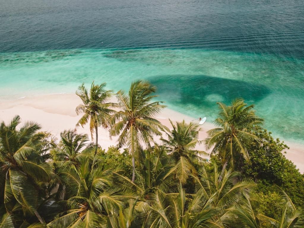 Guest House «Dhoani Maldives Guest House» фото 15