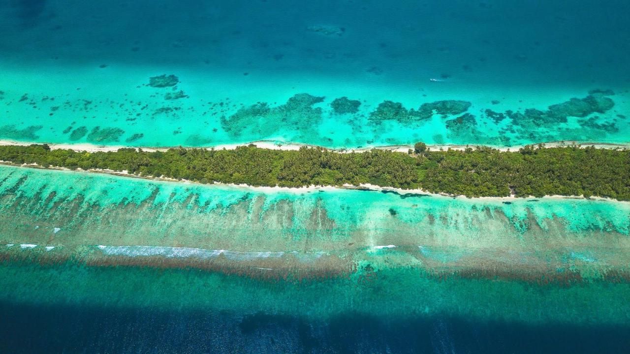 Dhiguveli Maldives фото 9
