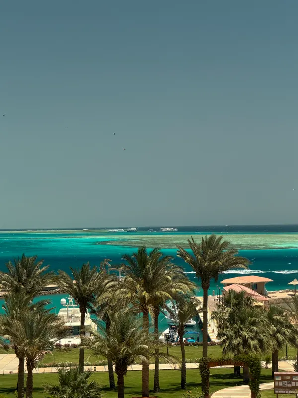 Hilton Hurghada Plaza фото 46