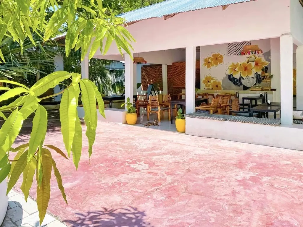 Guest House «Papaya Guest House Nungwi» фото 10
