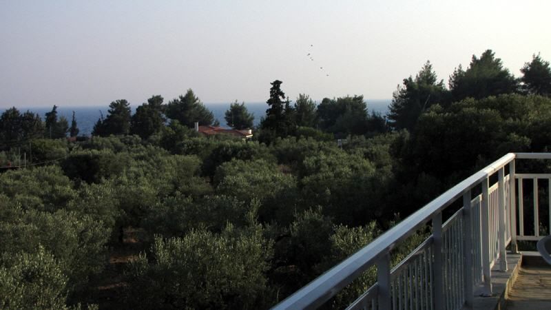 Villa Ioanna фото 2