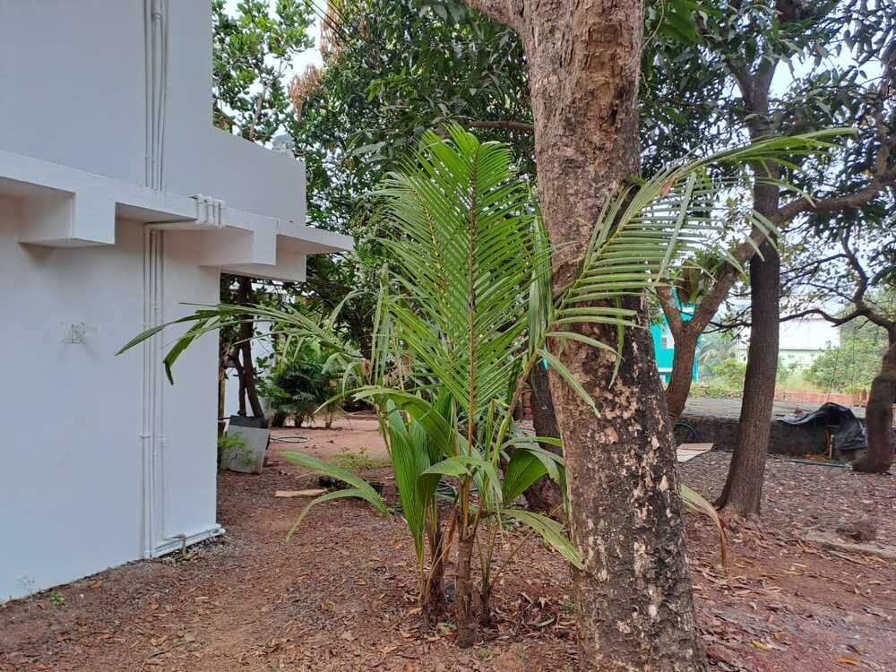 Guest House «Miloza Holiday Homes» фото 16