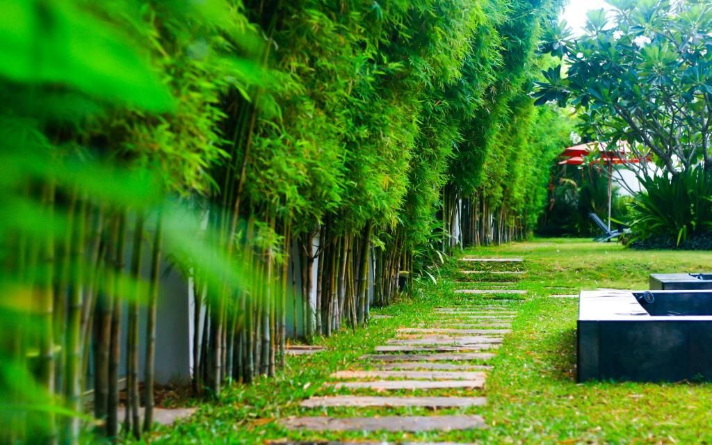 Palm Grove Resort фото 42