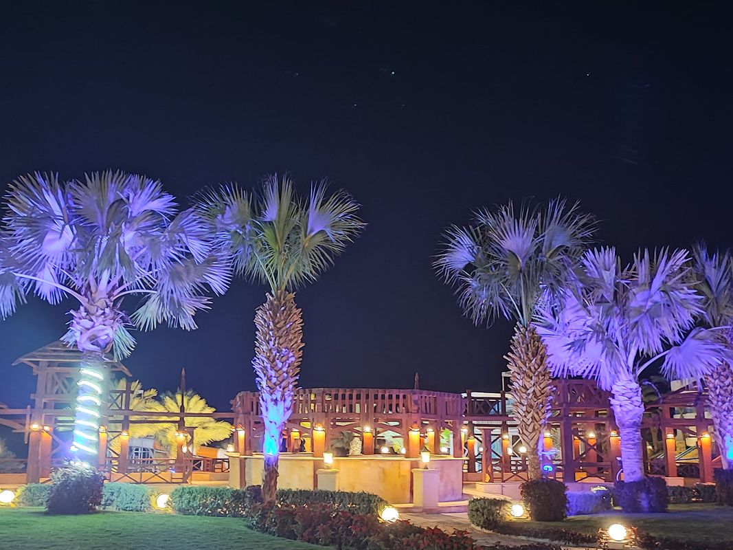 Queen Sharm Resort View фото 40