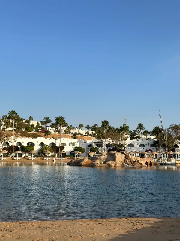 Domina Coral Bay Aquamarine Pool фото 122
