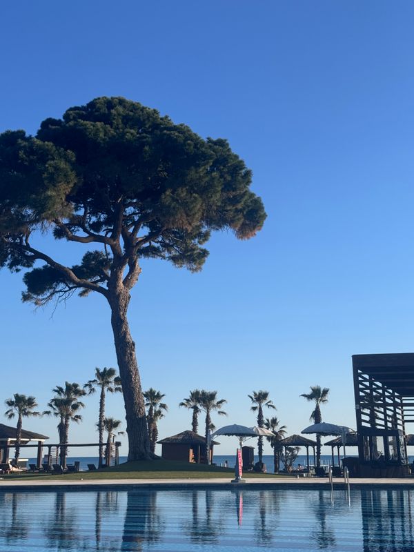 Rixos Premium Belek фото 77