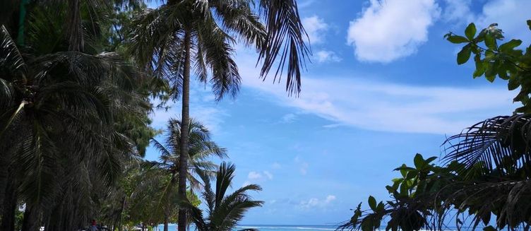 Фото отеля Rara HM