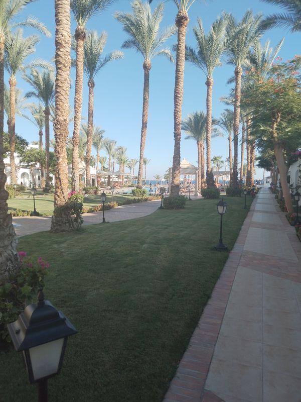 Jaz Fanara Resort & Residence фото 62