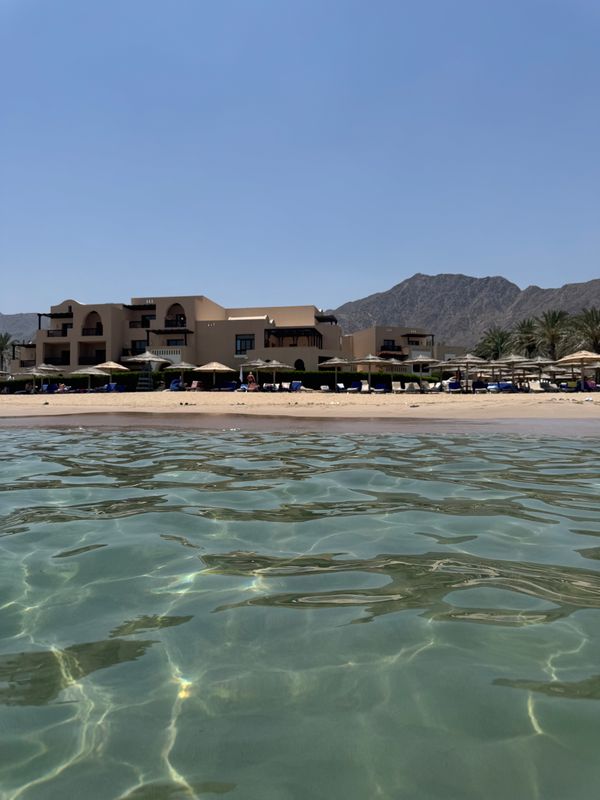 Miramar Al Aqah Beach Resort фото 60
