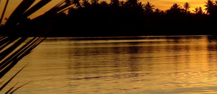 Фото отеля Waterside Bentota