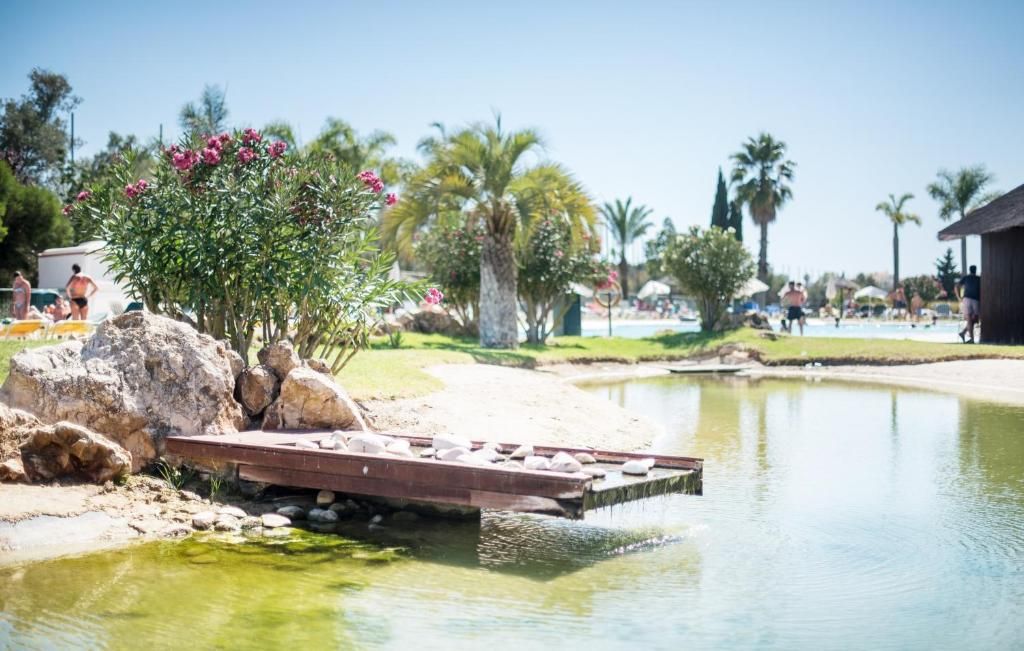 Yellow Alvor Garden - All Inclusive фото 12