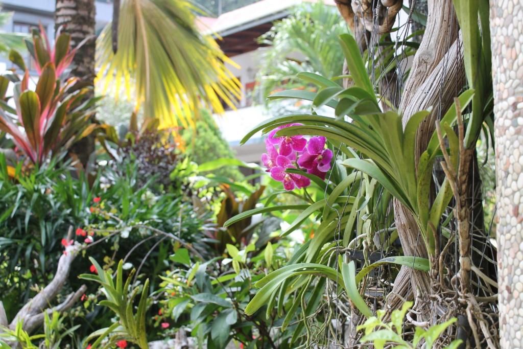 Hotel Chateau St Cloud фото 23