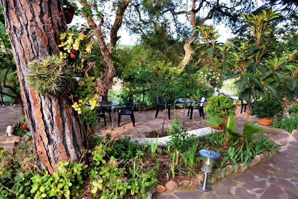 Hostal Magnolia фото 62
