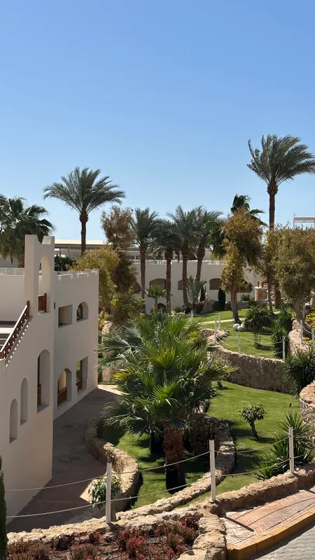 Pickalbatros Royal Grand Resort Sharm El Sheikh (Adults Only) фото 77