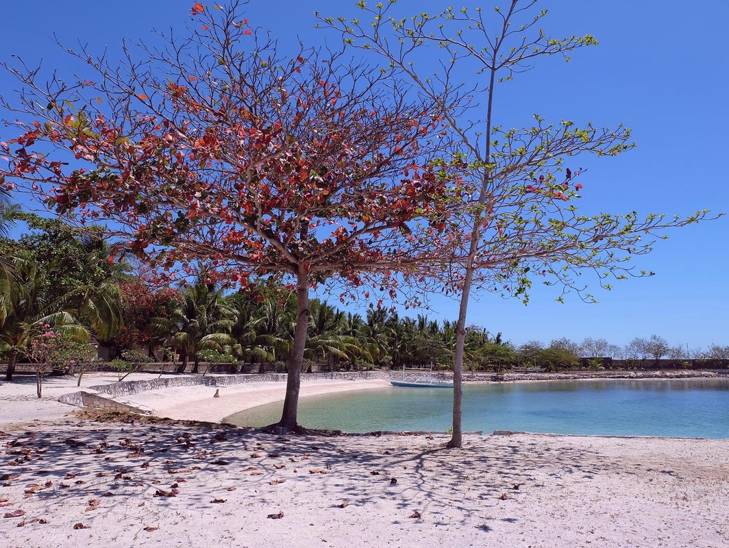 Cordova Reef Village Resort фото 38
