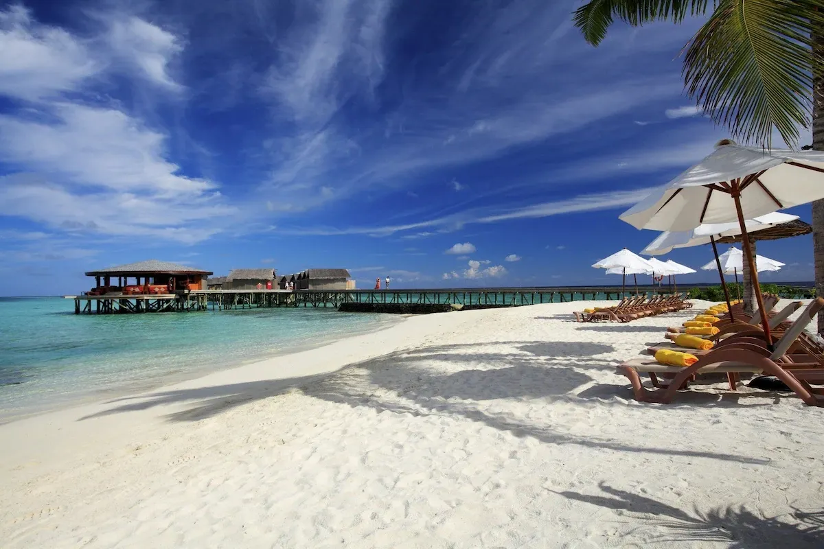 Centara Ras Fushi Resort & Spa Maldives (Adults Only) фото 10