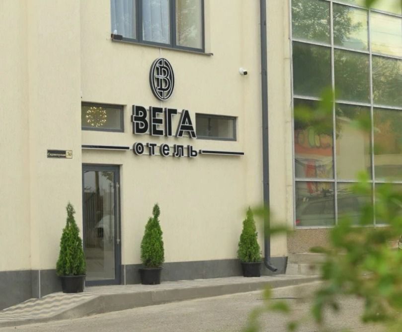 Вега фото 15