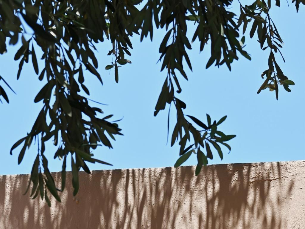 Cape Sounio, Grecotel Exclusive Resort фото 73