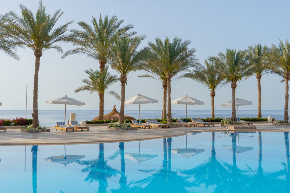 Sharm Club Beach Resort фото 247