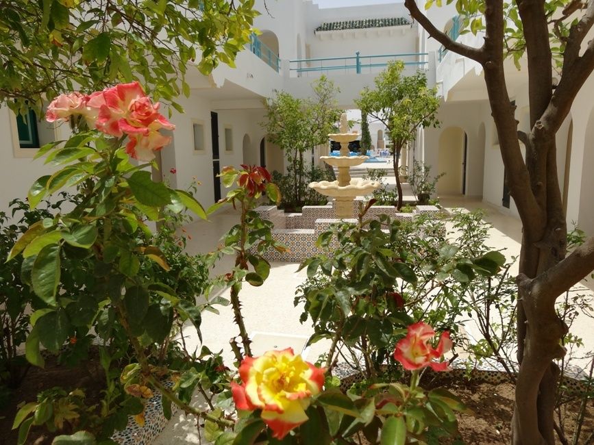 My Hotel Garden Beach фото 2