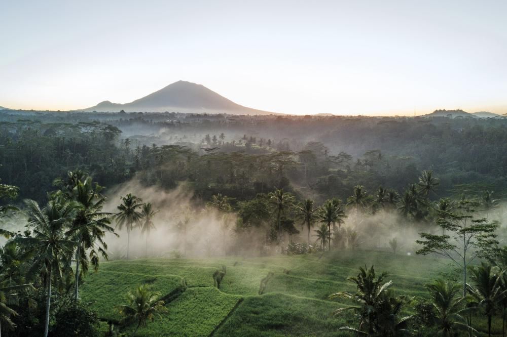 InterContinental Bali Resort фото 77